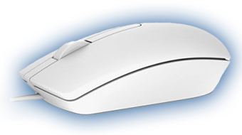 Dell Optical Mouse-MS116 - White - 570-AAIP-14